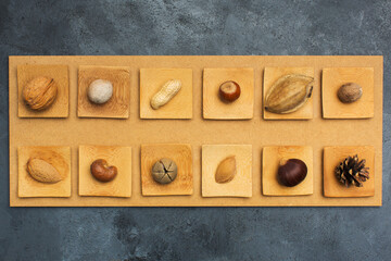 Various nits on a wooden panel - obrazy, fototapety, plakaty