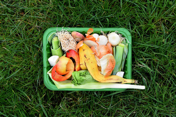 Green organic waste compost photo environement horizontal photo
