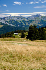 Fototapeta na wymiar Alpage, prairie des montagnes dans les Alpes, là où l'on trouve les meilleurs fromages. Plateau du Semnoz, massif des Bauges