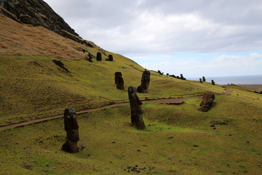 The Rano Raraku was used as a quarry and birthplace of the moais for centuries. On and in the Rano Raraku there are 397 moais.