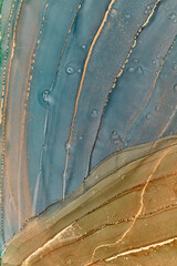 Alcohol ink art.Mixing liquid paints. Modern, abstract colorful background, wallpaper. Marble texture.Translucent colors