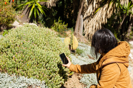 Young brunette girl with brown jacket with mobile making photos in the botanical garden
