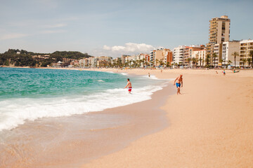 Obraz premium Spain weather. beach. tree. spanish 