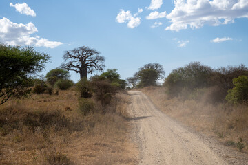 Safari road in Tanzania