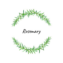 Rosemary wreath. Vector naturalistic illustration. Illustration for greeting card, packaging.