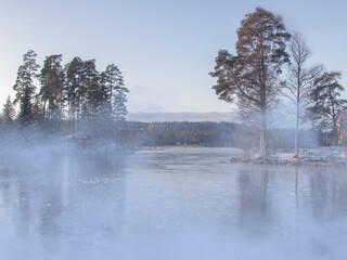 lake in the fog