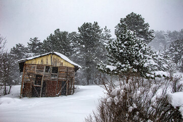 The scattered but unique view of the house made of wood on the top of the mountain is extremely fascinating in winter.