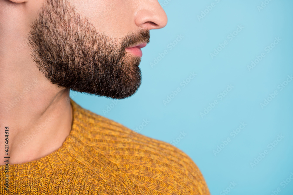 Poster cropped profile sife photo of young serious handsome attractive men with beard isolated on blue colo