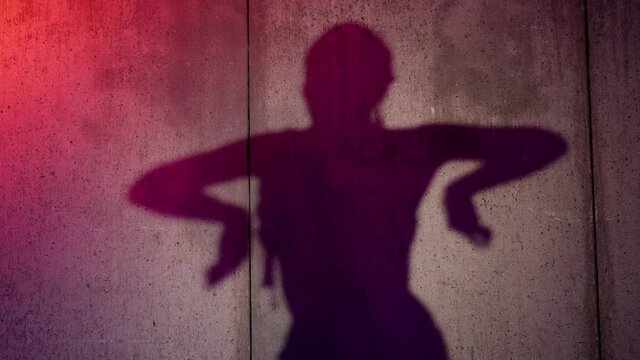 shadow of dancing woman, performing belly dance, oriental dance performance