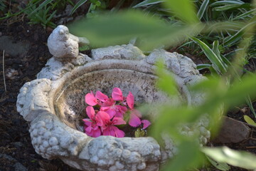 garden moment