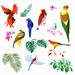 A set of birds of paradise and parrots