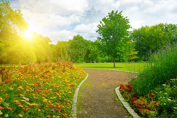 Sunrise over beautiful meadow with flowers