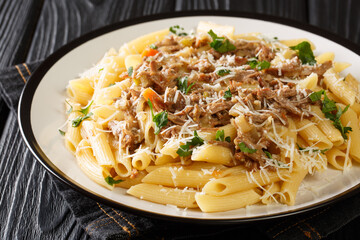 Penne pasta with slowly cooked onion-based La Genovese Napoletana sauce with beef, wine and vegetables close-up on a plate on the table. horizontal