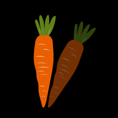 Cute carrot on black background. Vegetables with carotene. Illustration for printing in grocery online stores, children's decor. 