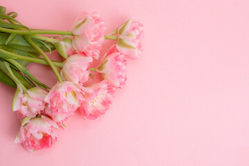 Obraz na płótnie Canvas bouquet of pink tulips on a pink background
