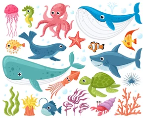 Afwasbaar Fotobehang In de zee Cartoon zeedieren. Leuke oceaanvissen, octopus, haai en schildpad, kwallen, krab en zeehond. Onderwater dieren in het wild wezens vector illustratie set