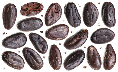 Cocoa beans and pieces of cocoa beans isolated on white background.