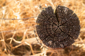 Weathered fence post over dry pasture background