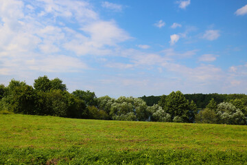View of the green meadow and trees on a sunny day in spring.