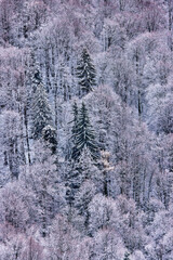 Beautiful winter landscape in the mountains, Bucegi Mountains Romania.