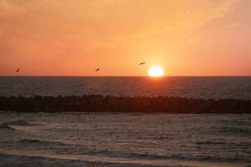 Fototapeta na wymiar sunset on the beach with doves