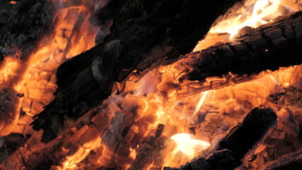 Fototapeta premium Bonfire burning trees at night.