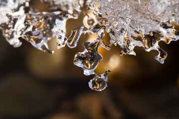 Close-up of icicles on golden and dark brown background with selective blurred focus. Spring concept.