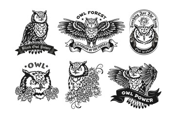 Black label designs with owls vector illustration set. Vintage badges with flying night owl or eagle-owl. Birds and forest animals concept can be used for retro template, banner or poster