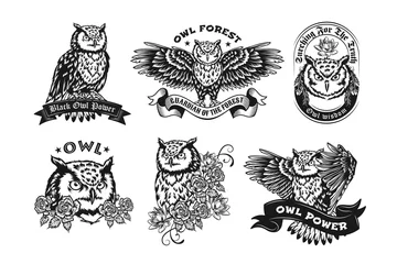 Wall murals Owl Cartoons Black label designs with owls vector illustration set. Vintage badges with flying night owl or eagle-owl. Birds and forest animals concept can be used for retro template, banner or poster