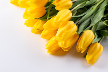 Obraz premium Yellow tulips, spring flowers, isolate on a white background. The concept of the celebration. Copy space