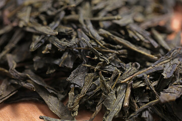 Green tea dried and rolled leaves