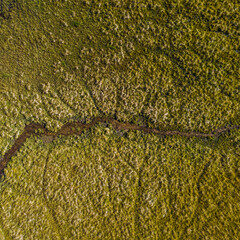 Long Plain creek, Kosciusko NP, NSW, March 2021 © Jon Steinbeck