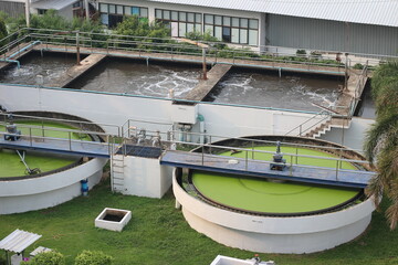 Wastewater treatment pond for recycle dirty sewage water