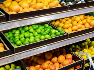 Produce market display of fresh limes, grapefruit and oranges. Assorted citrus on the market counter