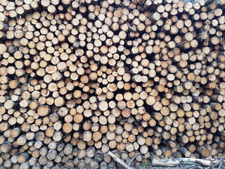 stack of wood