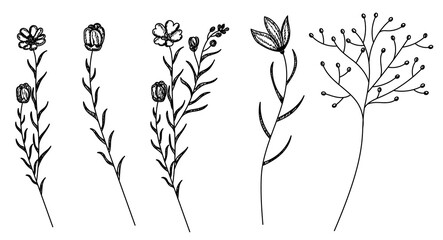  plant sketch, grass, flowers, set