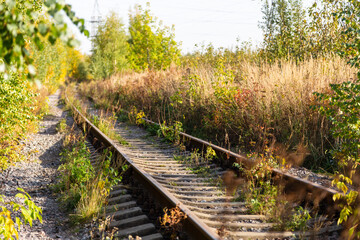railway in the forest