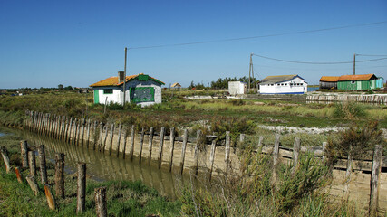 Activités des marais