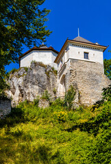 Fototapeta na wymiar Limestone rocky defense walls and towers of medieval royal Ojcow Castle on Cracow-Czestochowa upland in Lesser Poland