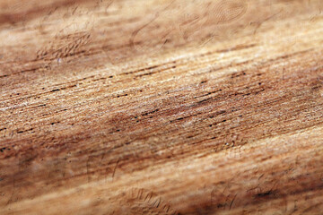Wood Background Template Vintage Background Surface