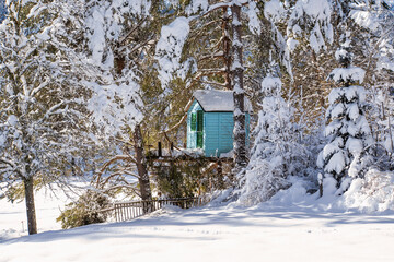 petite cabane dans le bois en hiver