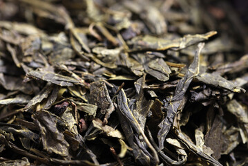 Green tea dried and rolled leaves