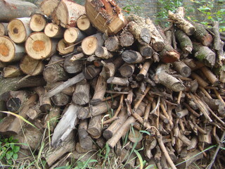 pile of wood