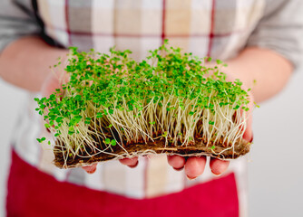 Organic microgreen growings