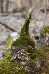 The Russian countryside, Samara region.
