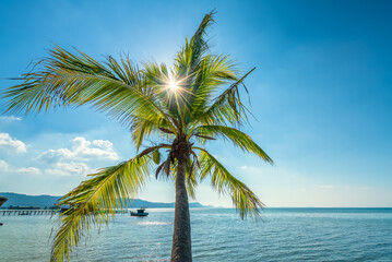 Fototapeta na wymiar Sunny seascape with tropical palms on beautiful sandy beach in Phu Quoc island, Vietnam. This is one of the best beaches of Vietnam.