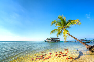 Seascape with tropical palms on beautiful sandy beach in Phu Quoc island, Vietnam. This is one of the best beaches of Vietnam. © huythoai