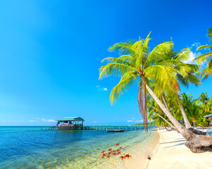 Obraz premium Seascape with tropical palms on beautiful sandy beach in Phu Quoc island, Vietnam. This is one of the best beaches of Vietnam.