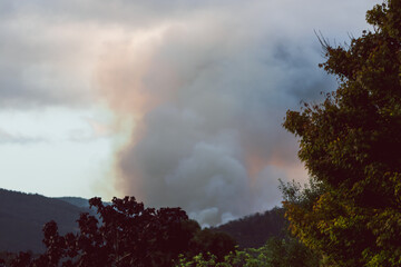 smoke clouds from fuel reduction controlled burns among thick vegetation