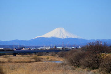 Obraz premium 日本 埼玉から見える富士山